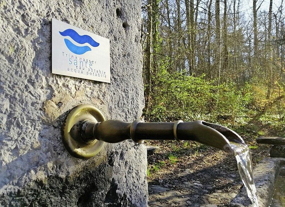 Water sector plan published - Schweizer Bauer