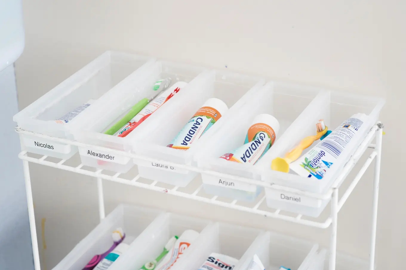 Ist Fluorid nützlich oder doch eher schädlich? - Evodrop