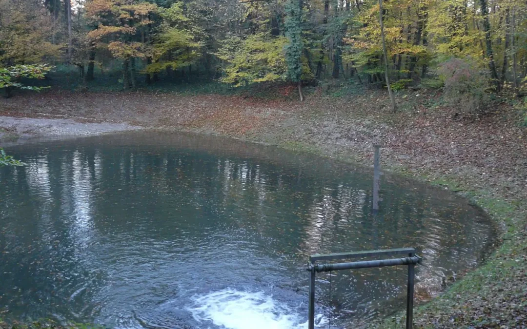 Baselbieter Grundwasser ist für Jahrzehnte belastet