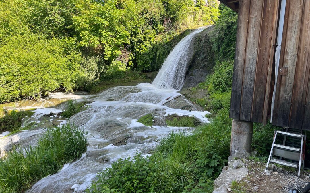 Warum der Brübach bei Oberbüren immer wieder schäumt